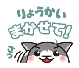 Bicolor cat Eight sticker #847831