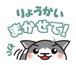 Bicolor cat Eight sticker #847831