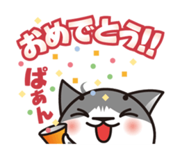 Bicolor cat Eight sticker #847832