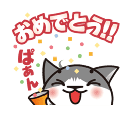 Bicolor cat Eight sticker #847832