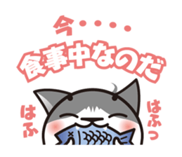 Bicolor cat Eight sticker #847833