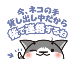 Bicolor cat Eight sticker #847834