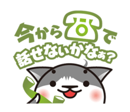 Bicolor cat Eight sticker #847835