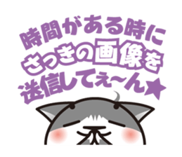 Bicolor cat Eight sticker #847836