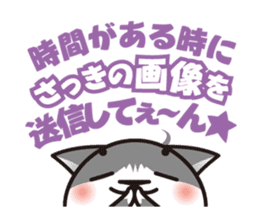 Bicolor cat Eight sticker #847836