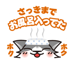 Bicolor cat Eight sticker #847838