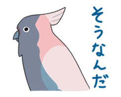 bird is kawaii sticker #848450