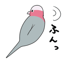 bird is kawaii sticker #848461