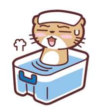 Meow in the Box sticker #848806