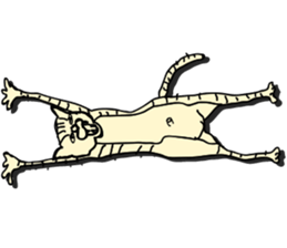 I am a catman stickers sticker #849127