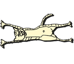 I am a catman stickers sticker #849127