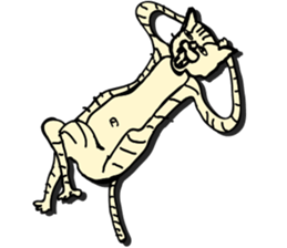 I am a catman stickers sticker #849128