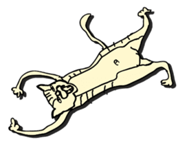 I am a catman stickers sticker #849133