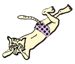 I am a catman stickers sticker #849135