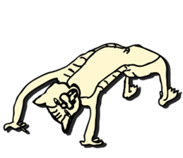 I am a catman stickers sticker #849136