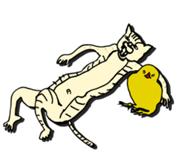 I am a catman stickers sticker #849149