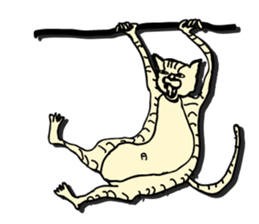 I am a catman stickers sticker #849155