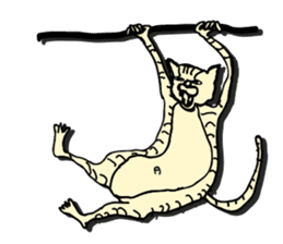 I am a catman stickers sticker #849155