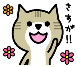 Friendly Cat2 sticker #849287