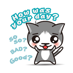 Bicolor cat Eight [ Basic ]English