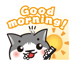 Bicolor cat Eight [ Basic ]English sticker #849919