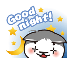 Bicolor cat Eight [ Basic ]English sticker #849920