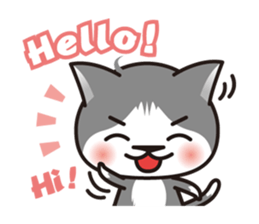 Bicolor cat Eight [ Basic ]English sticker #849921