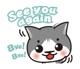 Bicolor cat Eight [ Basic ]English sticker #849922