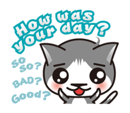 Bicolor cat Eight [ Basic ]English sticker #849925