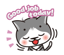 Bicolor cat Eight [ Basic ]English sticker #849926