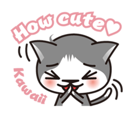 Bicolor cat Eight [ Basic ]English sticker #849931