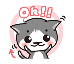 Bicolor cat Eight [ Basic ]English sticker #849933