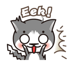 Bicolor cat Eight [ Basic ]English sticker #849935