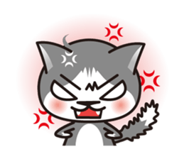 Bicolor cat Eight [ Basic ]English sticker #849936