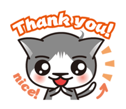 Bicolor cat Eight [ Basic ]English sticker #849937