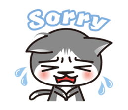 Bicolor cat Eight [ Basic ]English sticker #849938