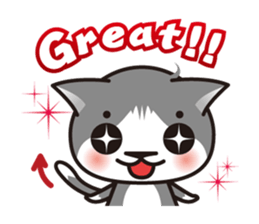 Bicolor cat Eight [ Basic ]English sticker #849939