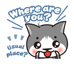 Bicolor cat Eight [ Basic ]English sticker #849940