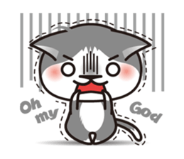 Bicolor cat Eight [ Basic ]English sticker #849943