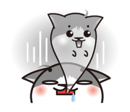 Bicolor cat Eight [ Basic ]English sticker #849950