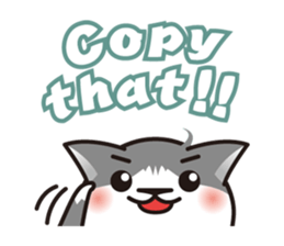 Bicolor cat Eight [ Basic ]English sticker #849951