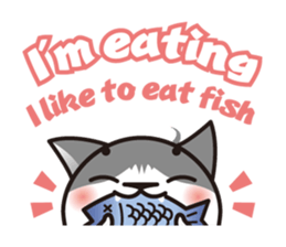 Bicolor cat Eight [ Basic ]English sticker #849953