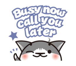 Bicolor cat Eight [ Basic ]English sticker #849954