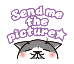 Bicolor cat Eight [ Basic ]English sticker #849956