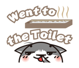 Bicolor cat Eight [ Basic ]English sticker #849957