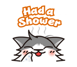 Bicolor cat Eight [ Basic ]English sticker #849958