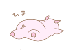 Plump pig stickers sticker #853285