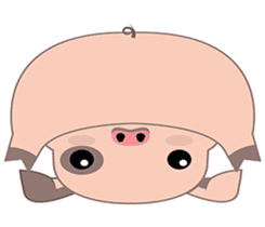 Kiki, the cute chubby little pink piggy sticker #853475