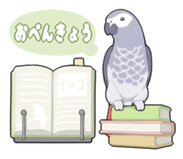 parrots sticker #853680