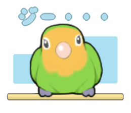 parrots sticker #853685